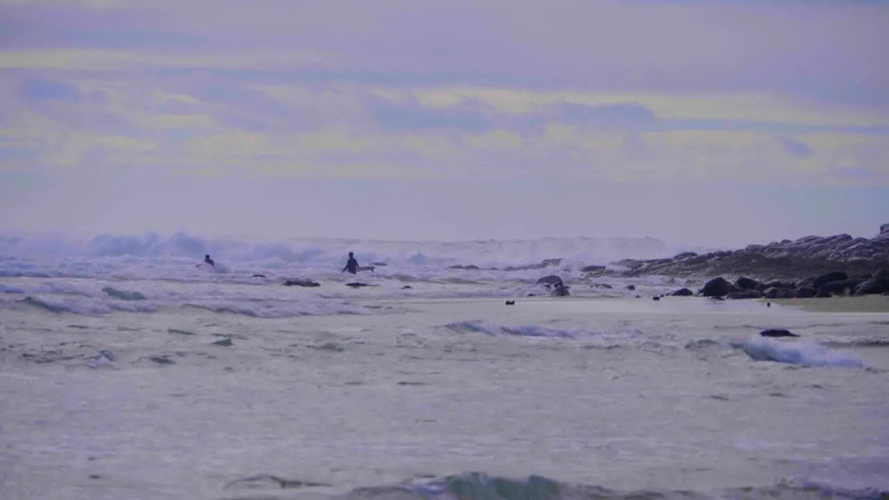 Surfers In The Raging Sea With Huge Waves In Crescent Head Surfing Spot In NSW Australia wide slowmo shot