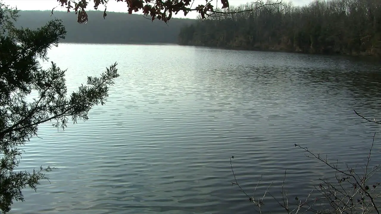 A lake with a wooded shoreline and gentle waves