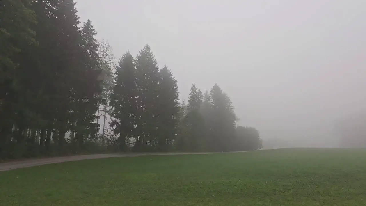 A foggy misty meadow and a pathway by a forest