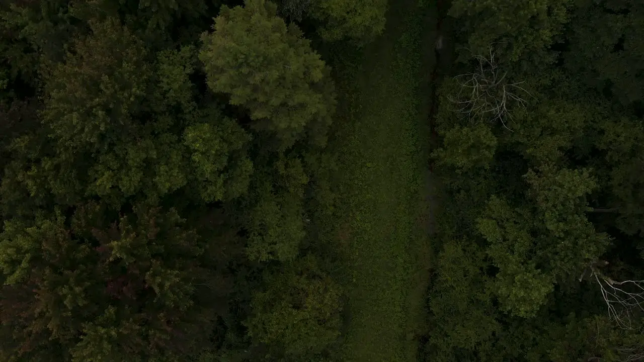 Aerial track from a small creek to a nearby lake on a cloudy day