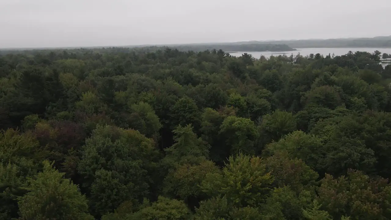 Dusky and lush greens on a cloudy day