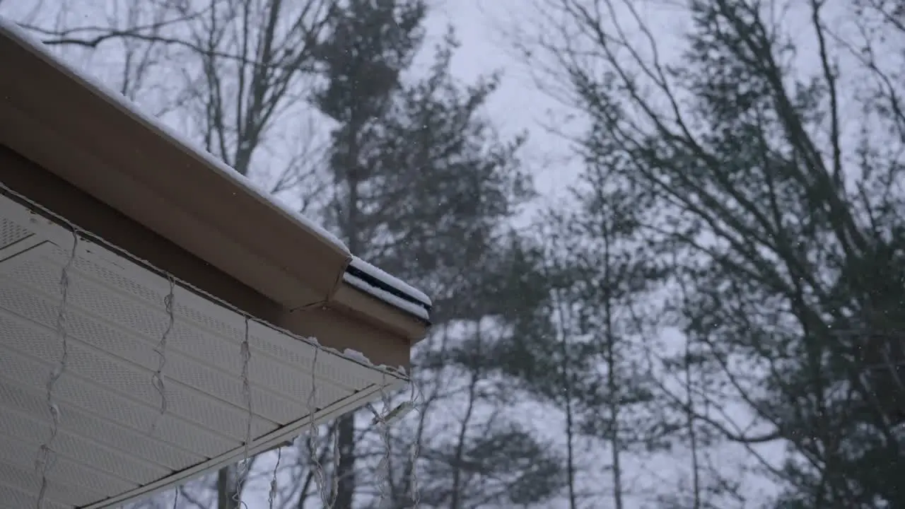 Slow motion look at a mid winter snow flurry