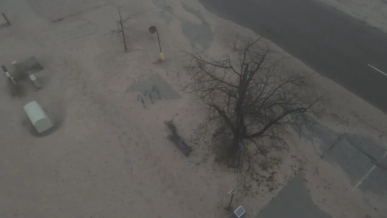 A high angle still of a barren tree on a misty smoky day