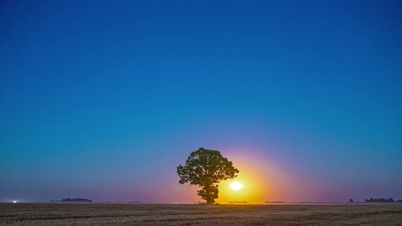 A full glowing super moon rising over a tree in the European countryside time lapse