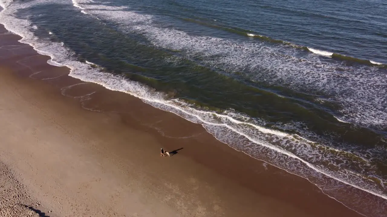 Aerial tracking shot of woman walking with dog along coastal sandy beach with ocean waves in summer Playa Grande Uruguay