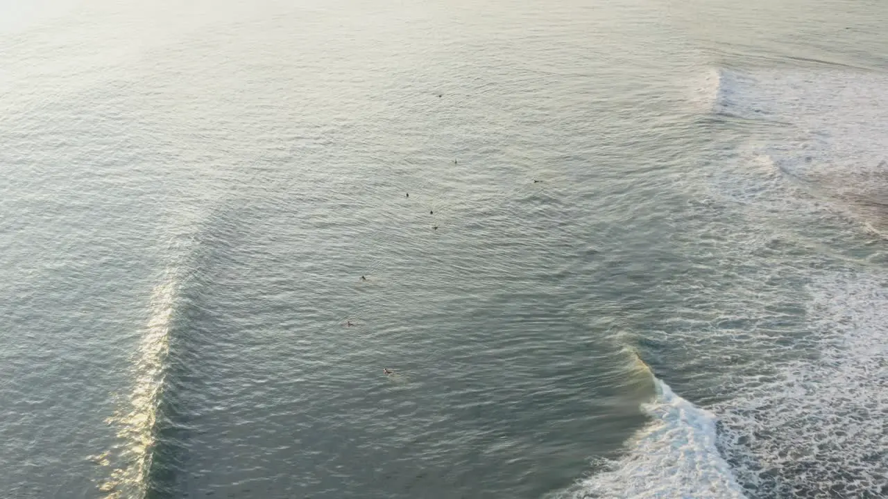 Aerial beautiful surfing destination surfers on surfboards waiting for wave