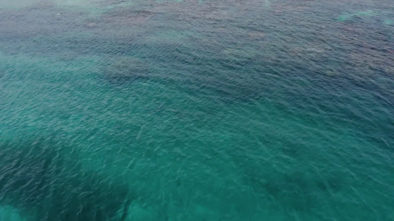 AERIAL Person on a jetski and a white sand beach Cayo Lobos Fajardo Puerto Rico