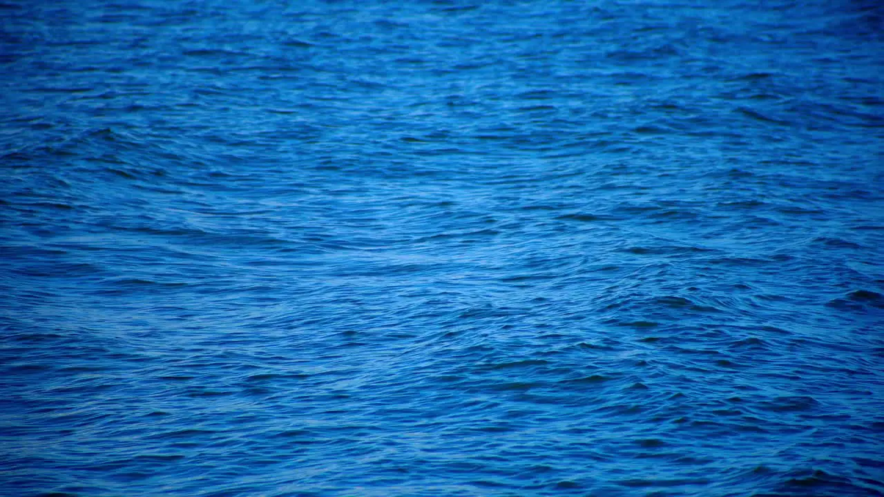 Light waves on sea water with blue tone close up