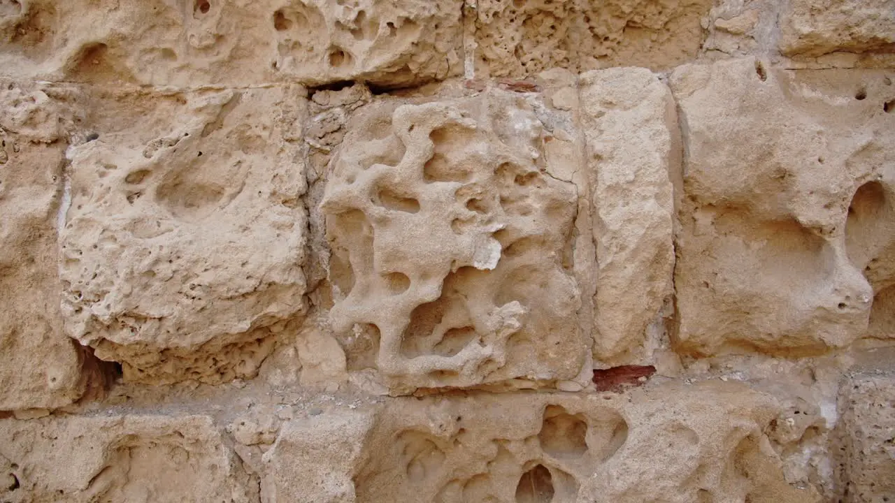 Time touched details of limestone wall in city of Salamis close up view