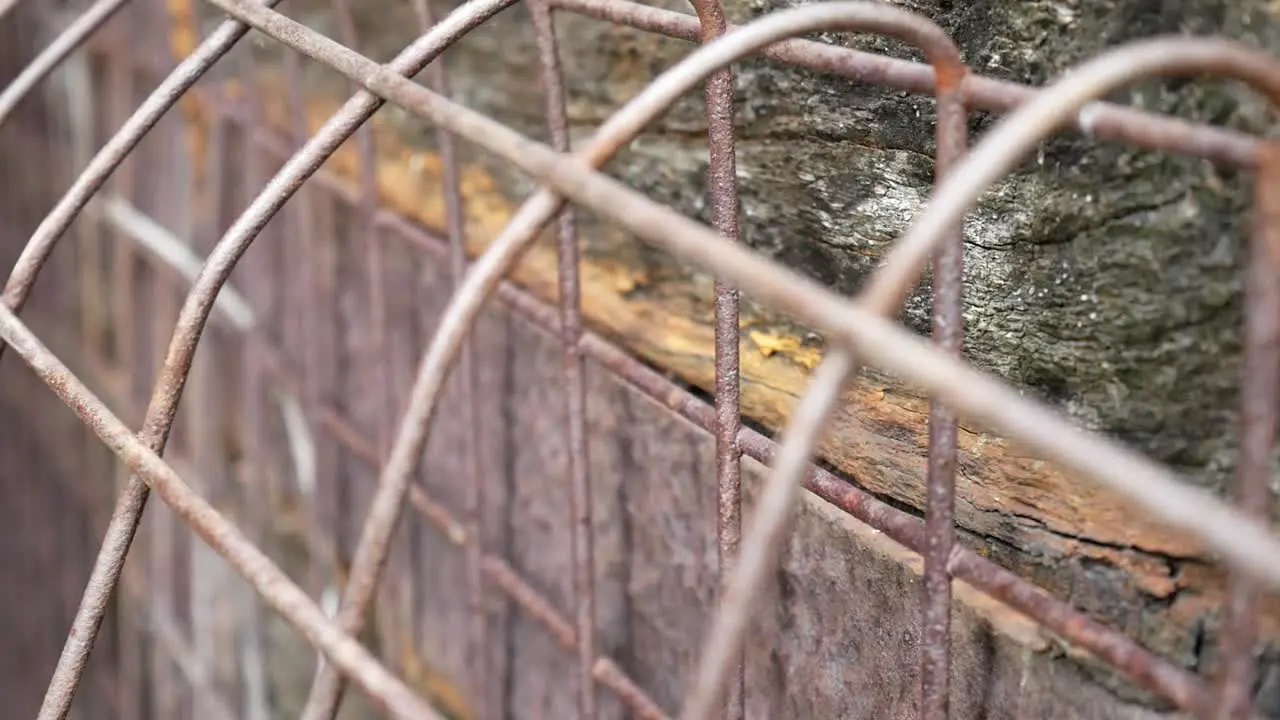 Rustic vintage weathered wooden textured timber and rusted steel cage mesh dolly left closeup