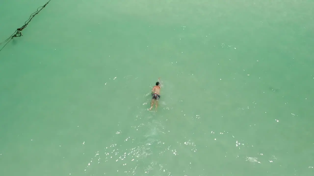 Man swimming freestyle in clean ocan waters