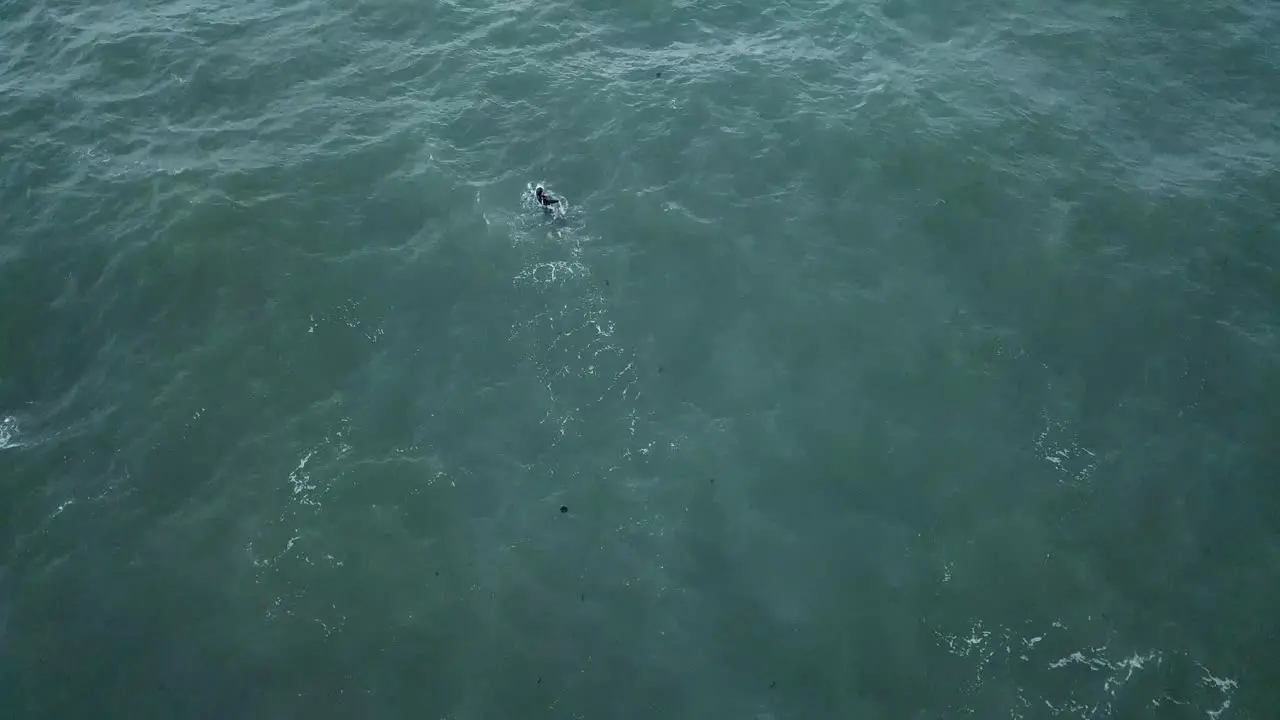 Drone aerial over ocean Melbourne wavy windy cloudy erson swimming pan up