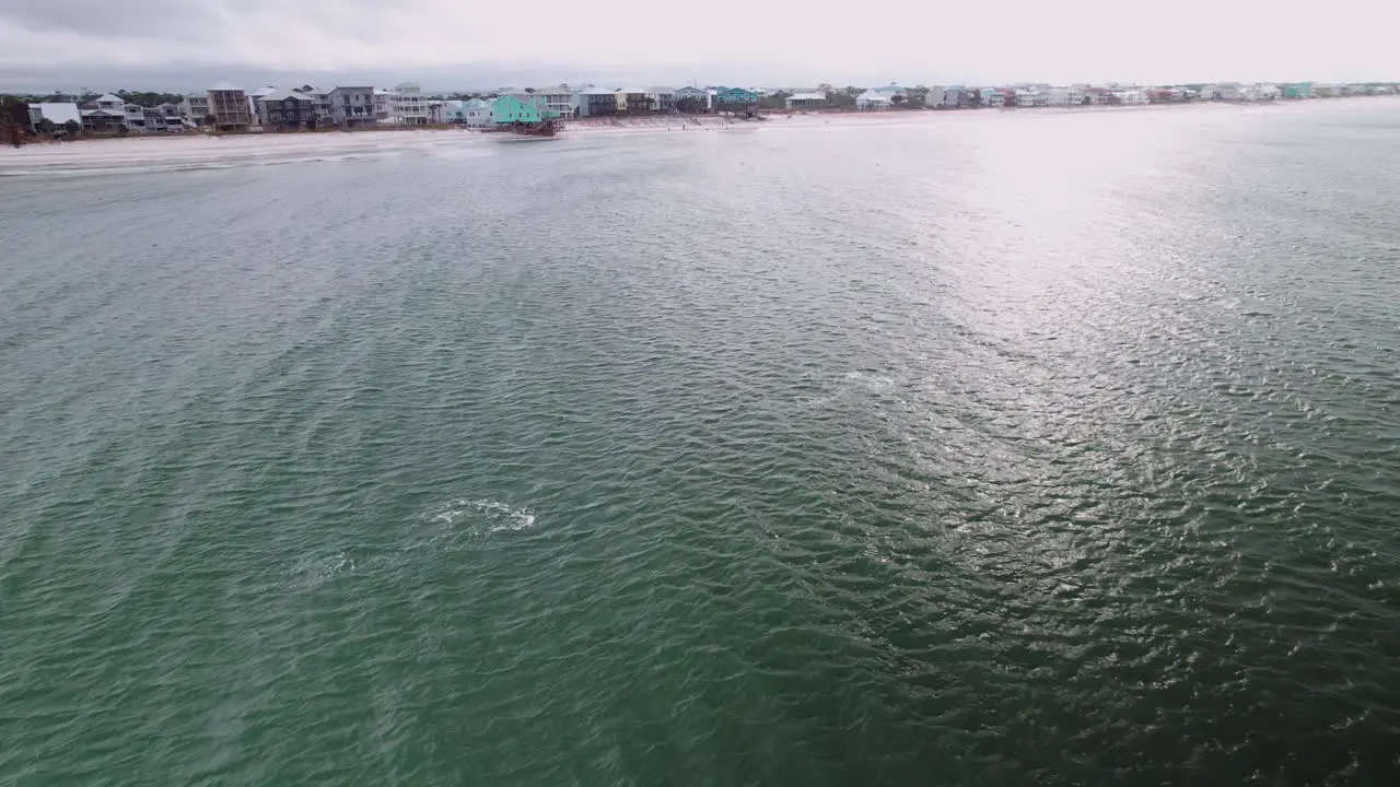 Aerial of dolphin jumping in front of sandy beaches and ocean-front condos