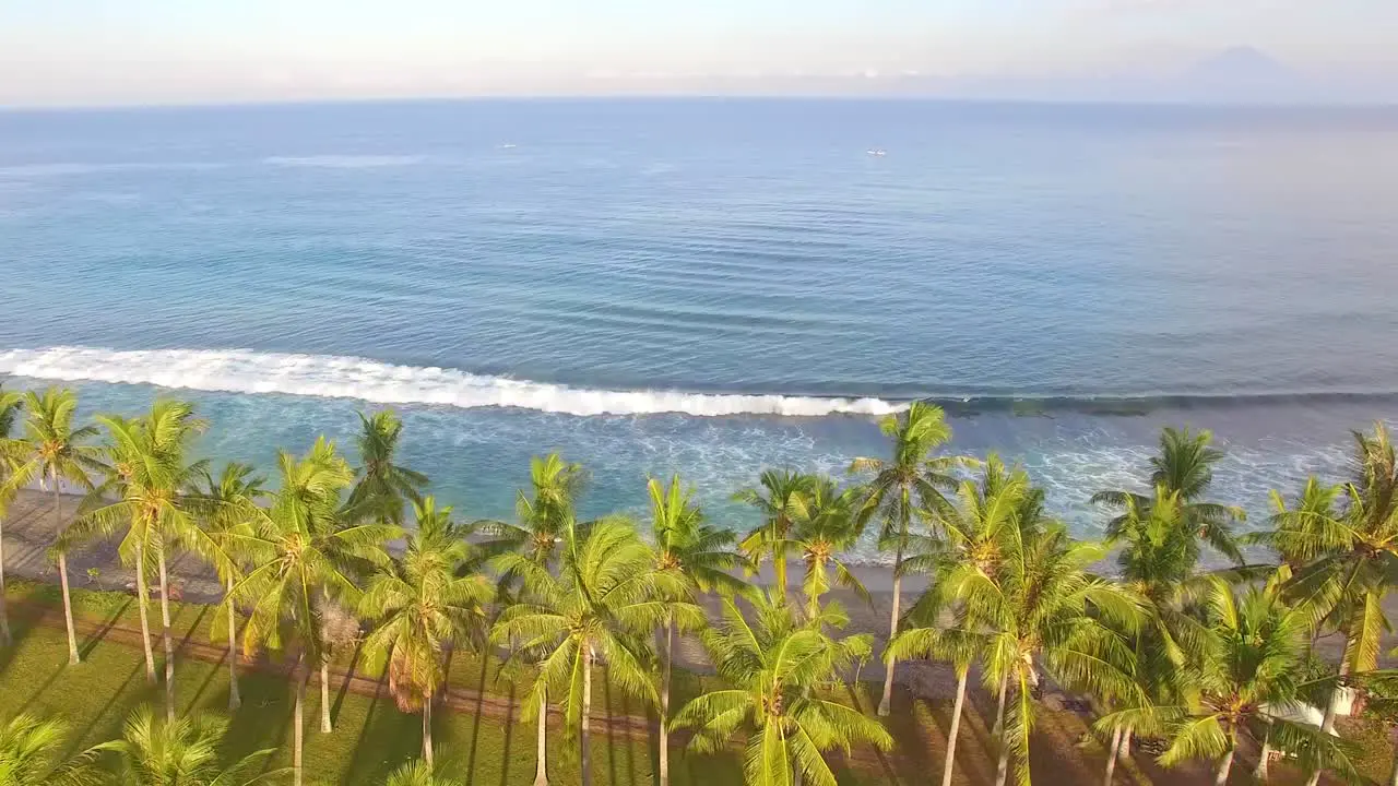 Flying Over Palm Trees and Across the Ocean