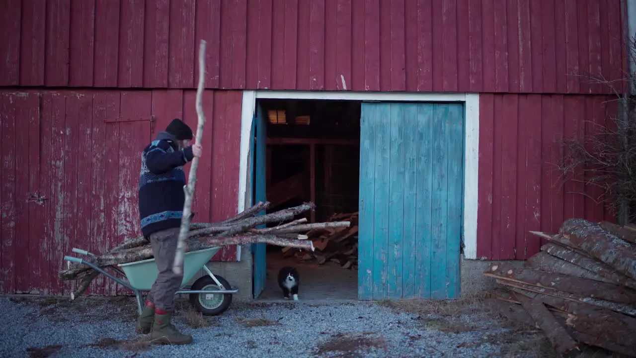 A Man is Transferring the Cut Logs to the Storage Area Static Shot