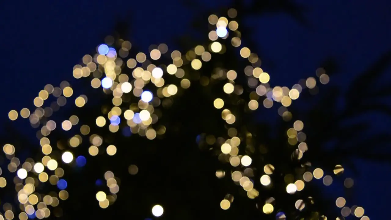 Christmas tree with multi-colored lights at night in a Europe city