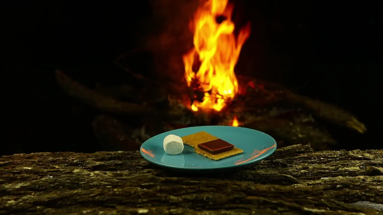 Plate of S'mores on a log in front of a fire