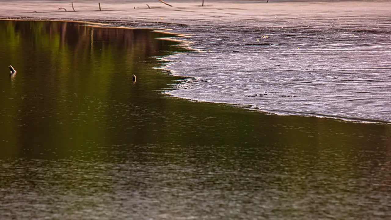 Time lapse shot of natural frozen lake melting surface during sunrise in nature Close up of melting frost in Wilderness