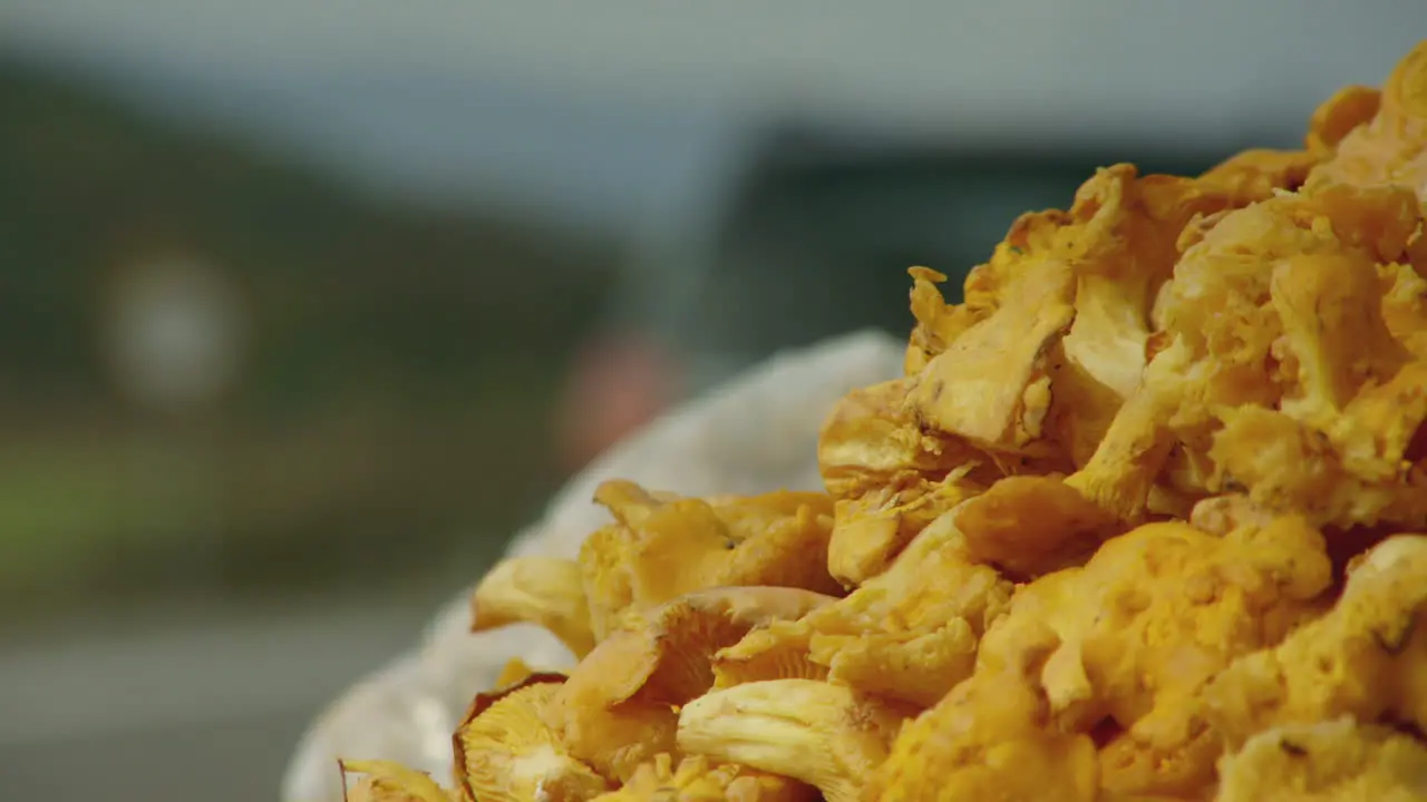 Roadside sellers extreme close up chanterelle mushrooms on the side of a road