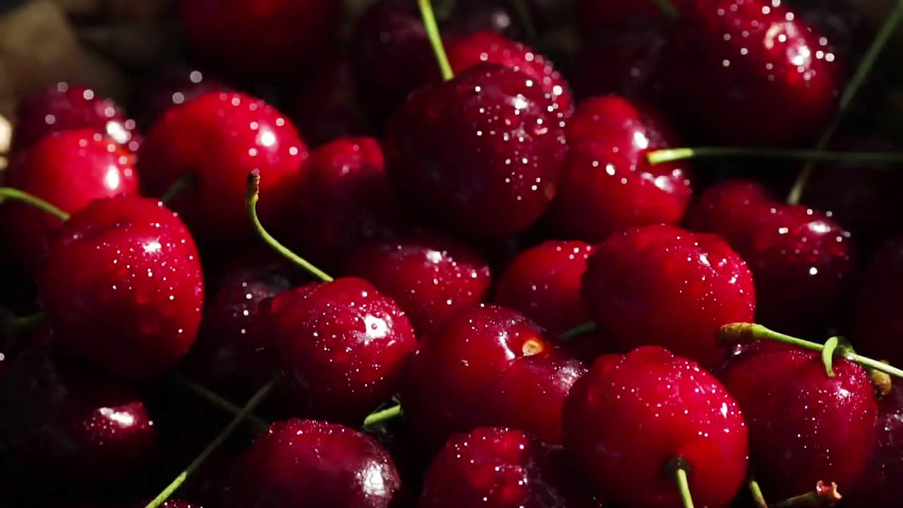 Rote Kirschen Drehen Sich Im Korb