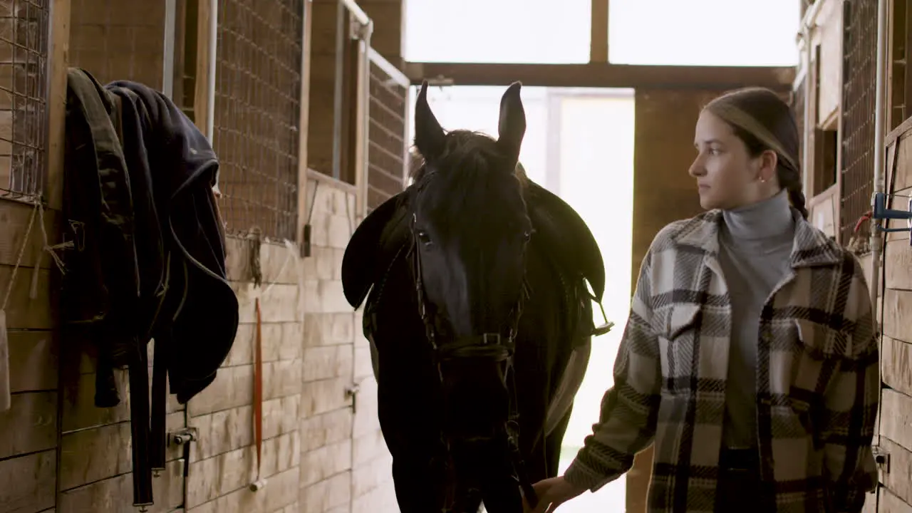 Weiblicher Jockey Der Mit Schwarzem Pferd Zum Stall Kommt