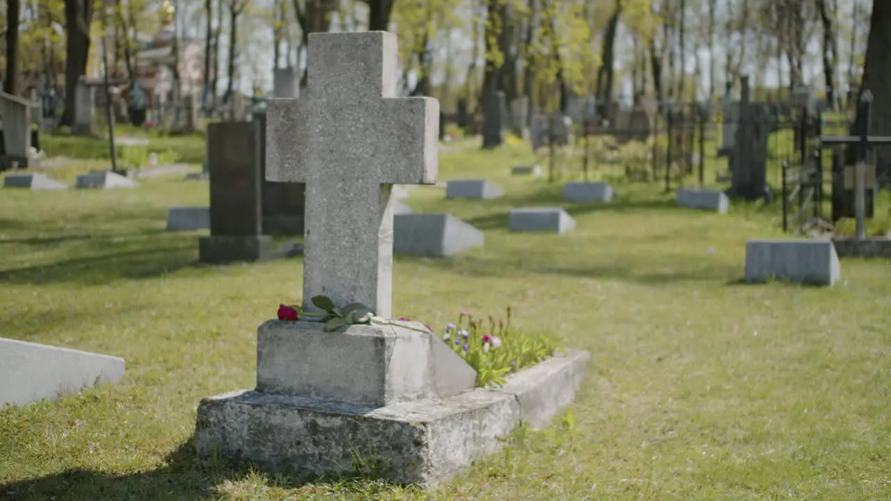 Kreuz Grabstein Mit Einer Roten Rose Auf Einem Friedhof An Einem Sonnigen Tag