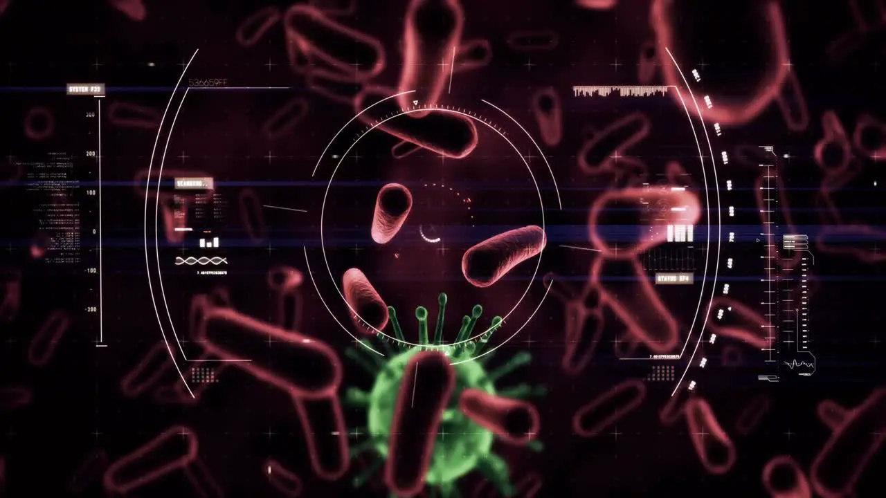 Digital Generierte Viruszellen Und Bakterienzellen Vor Schwarzem Hintergrund