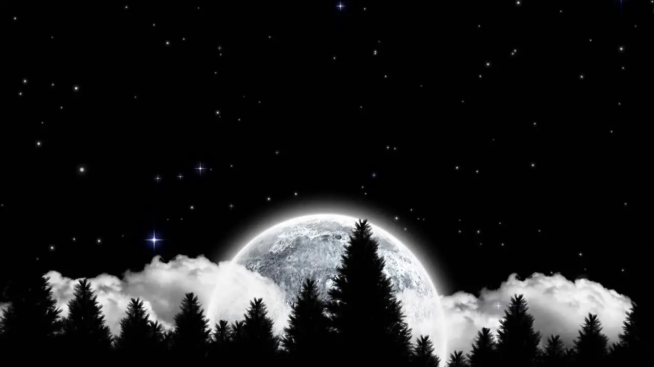 Animation of fir trees over moon and sky at night