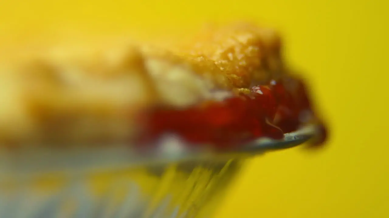 [Camera Used Canon C300] Macro rack focus soft focus rotating cherry pie crust with oozing cherry glaze