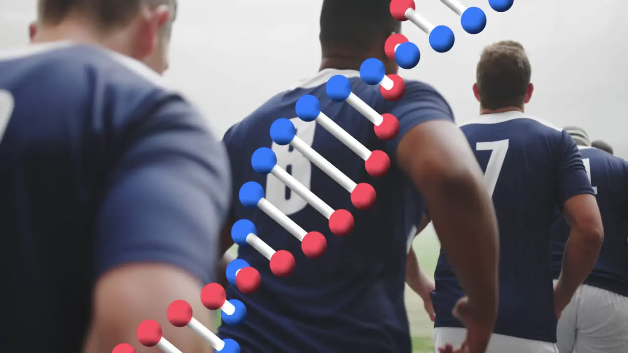 Animation of dna strand over male rugby players at stadium