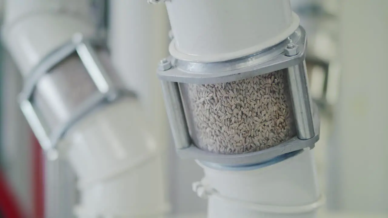 Grain cascading through transparent inspection tubes at a state-of-the-art grain mill facility showcasing large-scale food production on an industrial level