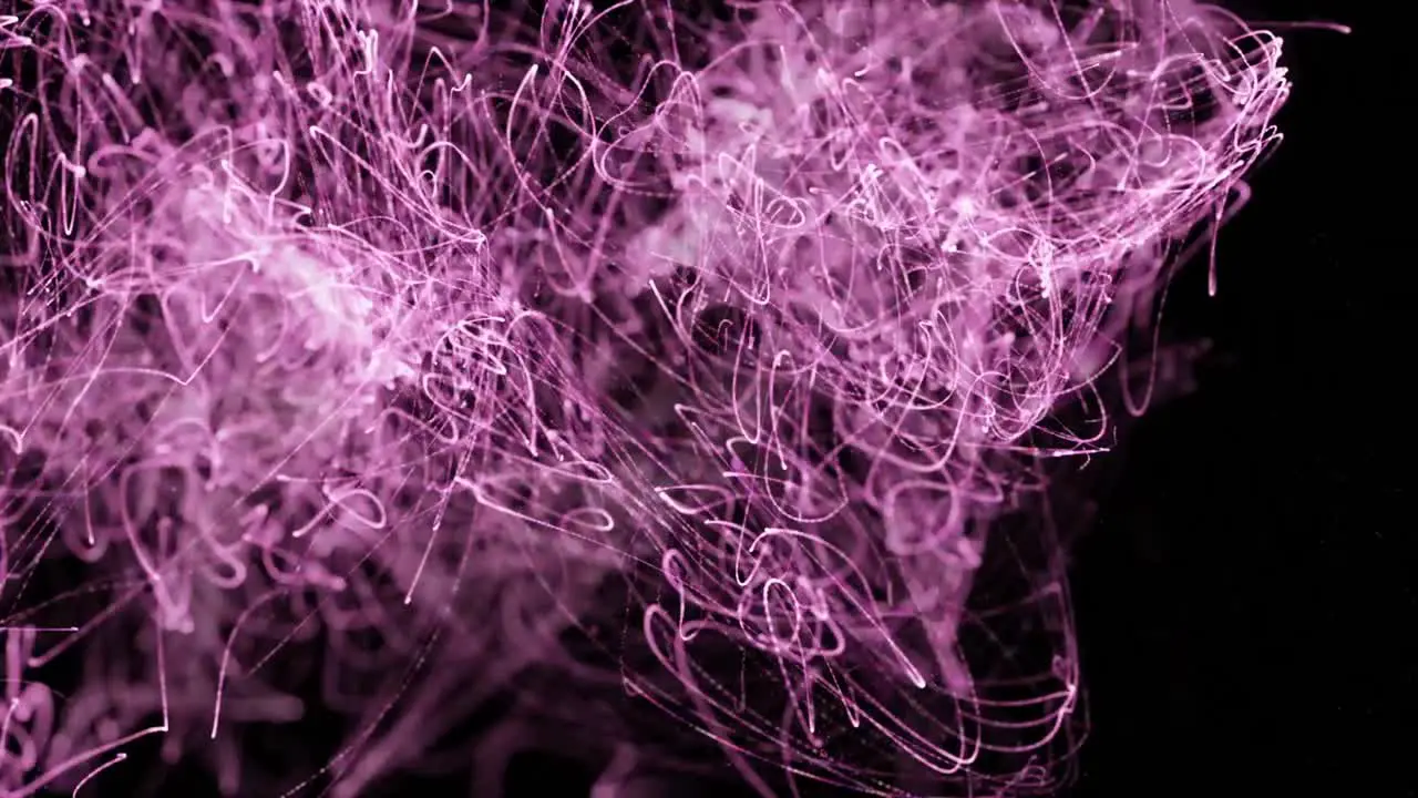 Animation of purple curve lines moving over black background