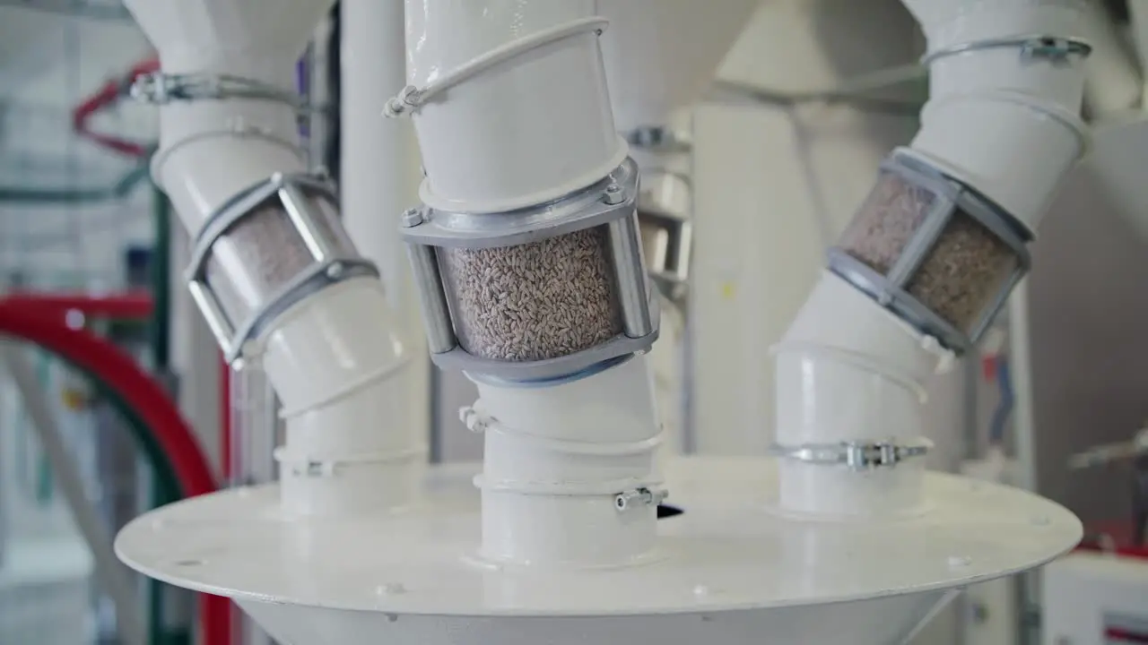 Grain pouring through transparent inspection tubes at a state-of-the-art grain mill facility showcasing large-scale food production on an industrial level