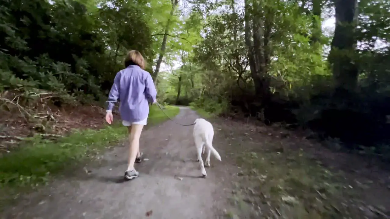 Woman walks dog white labrador down trail