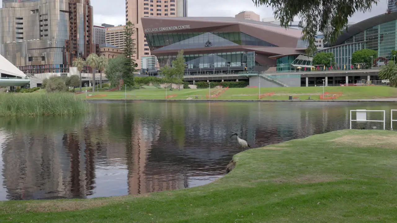 Adelaide Convention Centre and Sky City Casino over the River Torrens in Adelaide South Australia