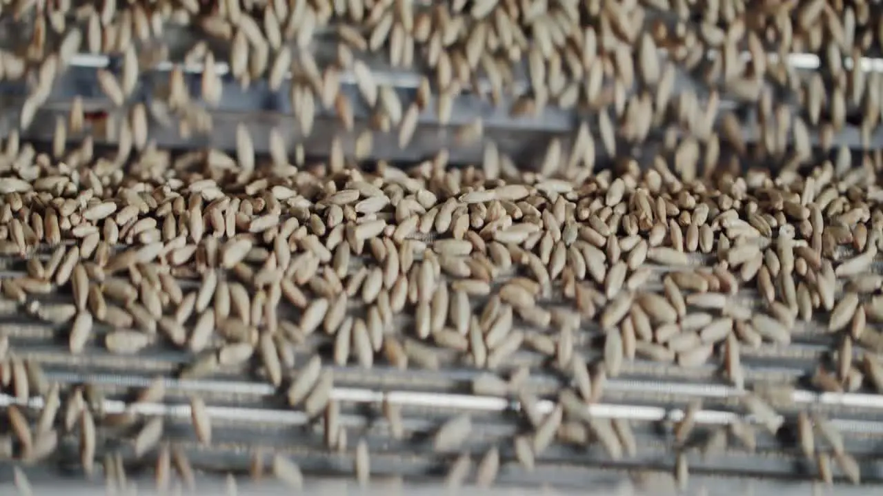 Close-up of cascading grain in a state-of-the-art grain mill facility