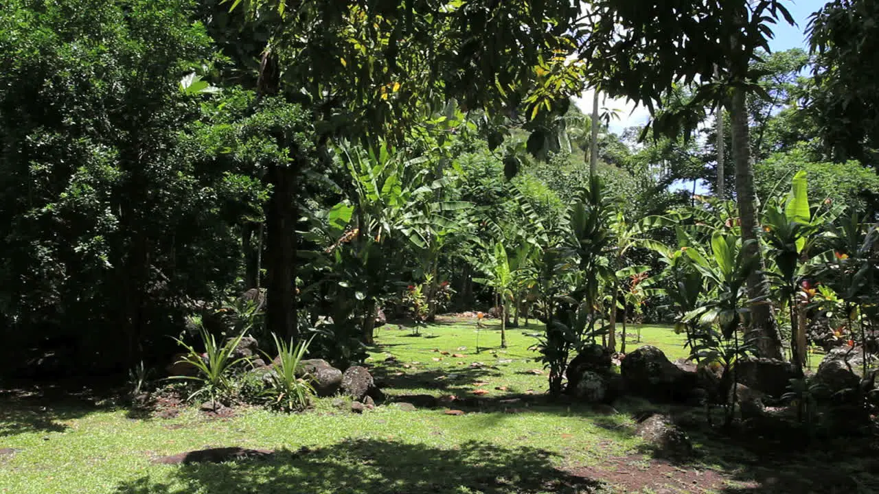 Tahiti Atahurahu Marae tropical view