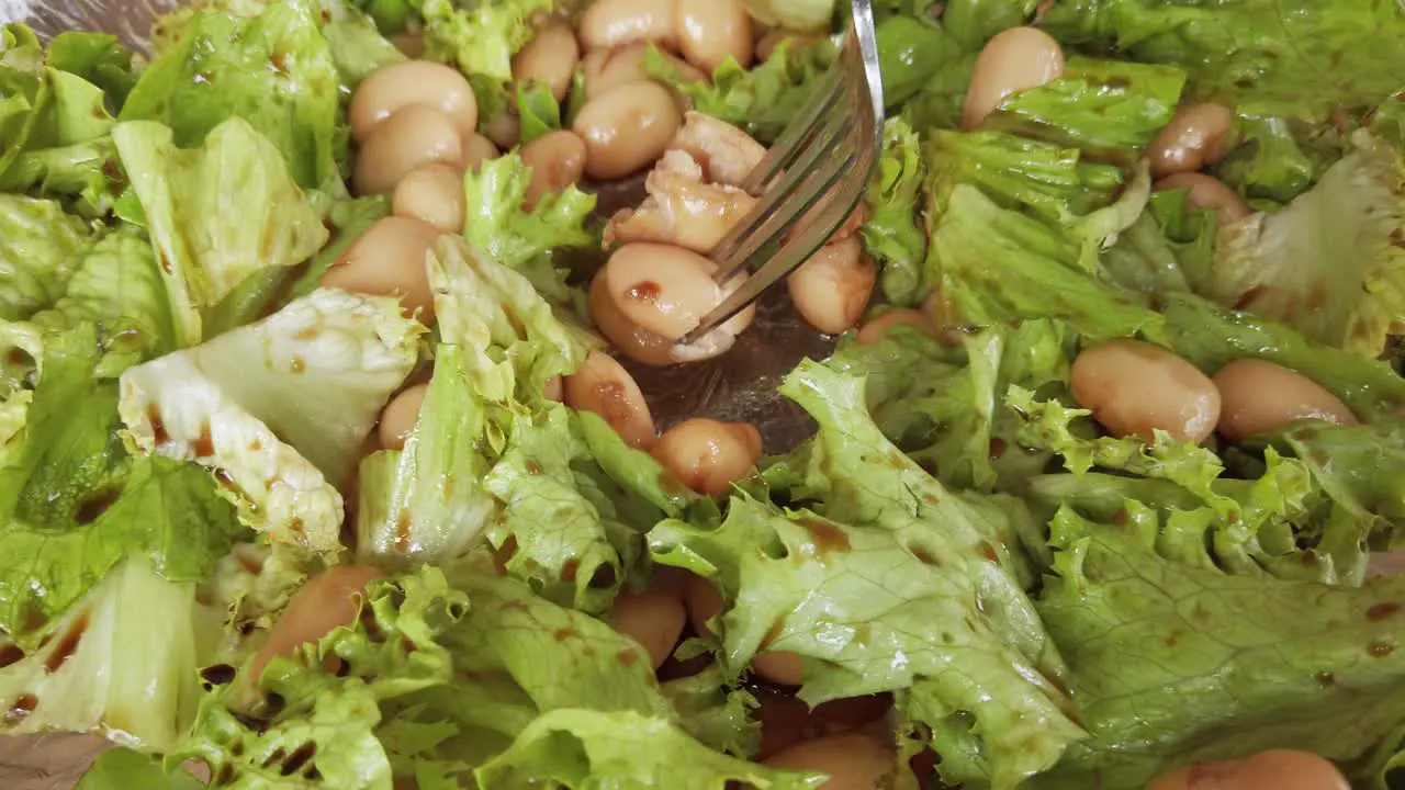 Healthy meal unstaged homemade salad with salmon green string and brown beans low carb diet fitness and lifestyle