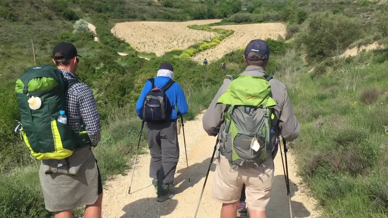 Camino De Santiago