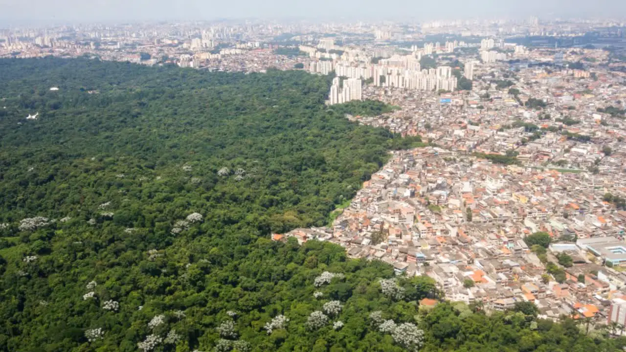 aerial view over Sao Paulo cityscape buildings invading the forest