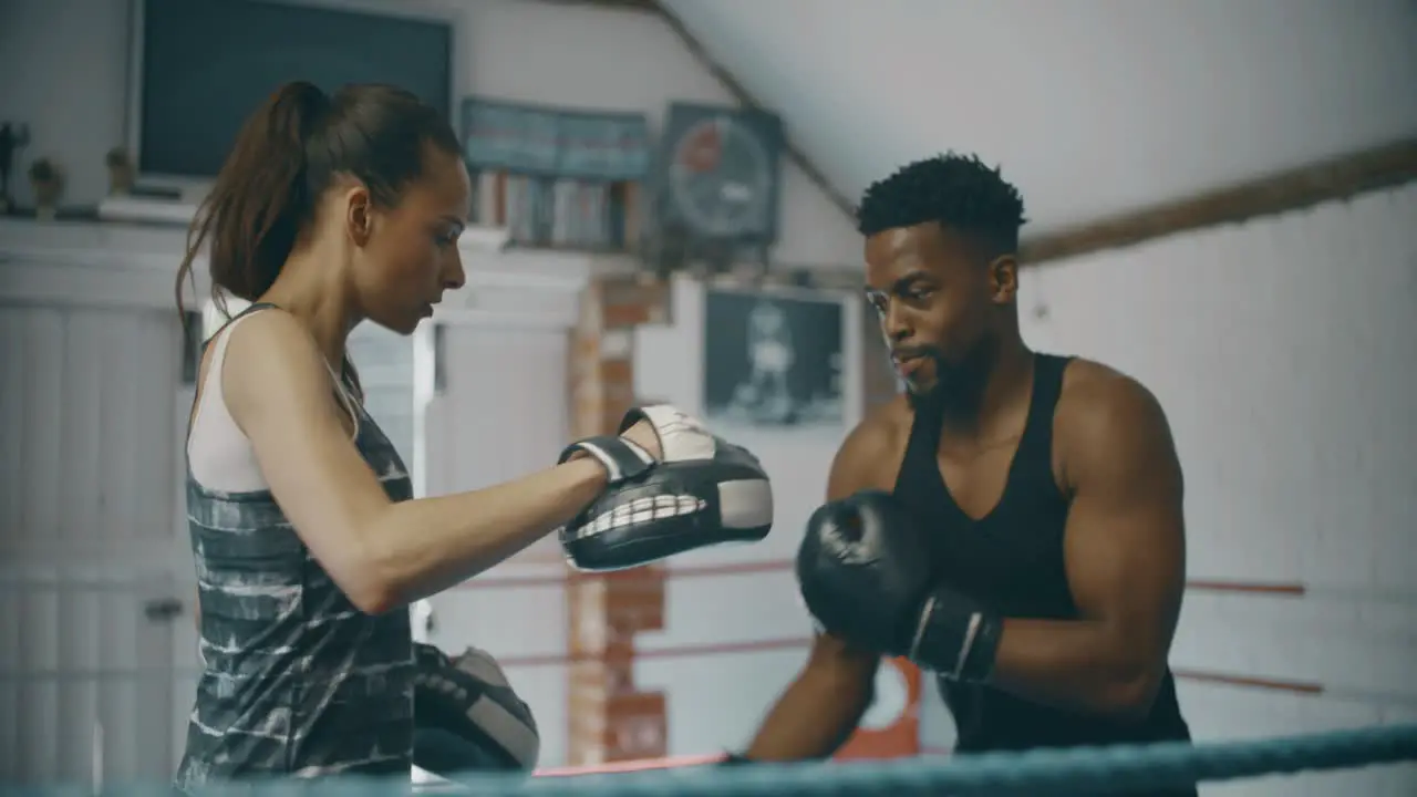 Young Boxer Training