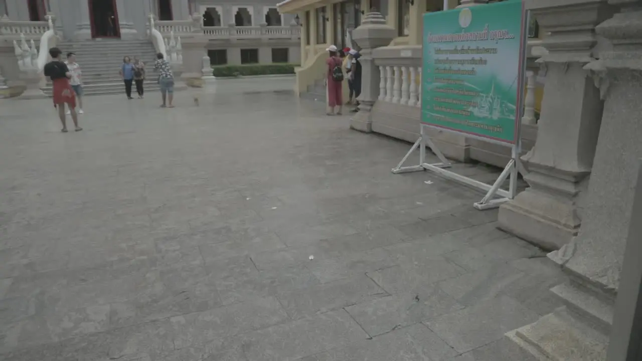 Looking at the monkey running in the temple in Thailand