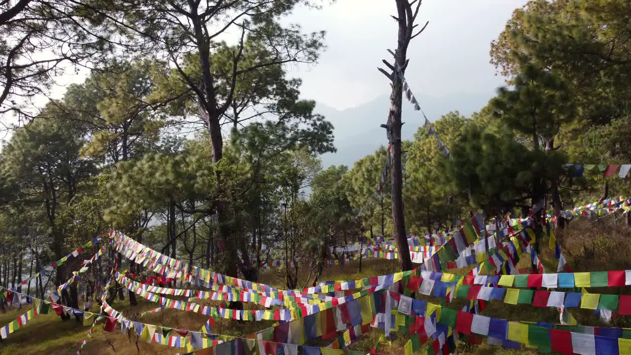 Flying above the Buddhist prayer flags strung in the trees on the top of a hill