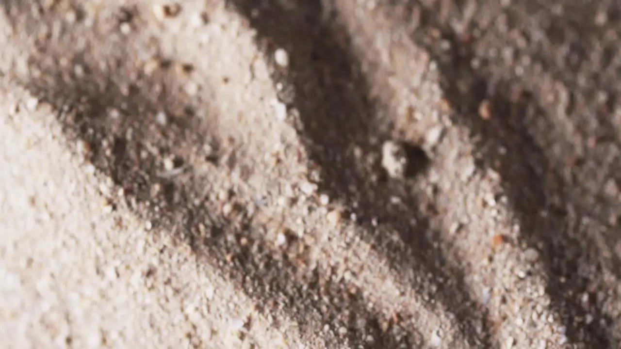 Video of close up of sand grains and copy space background