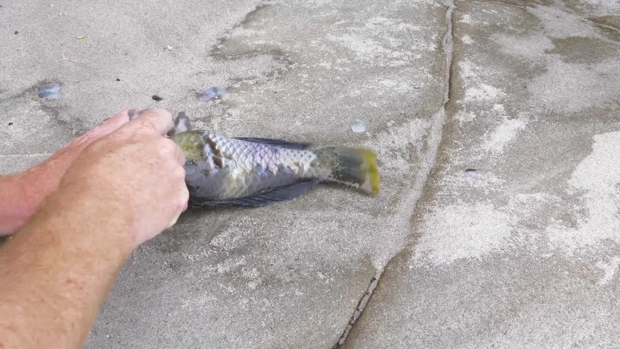 A close up shot of a man scaling a fish on the rocks