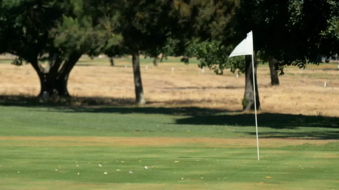 A white flag flutters in strong wind on a golf course green