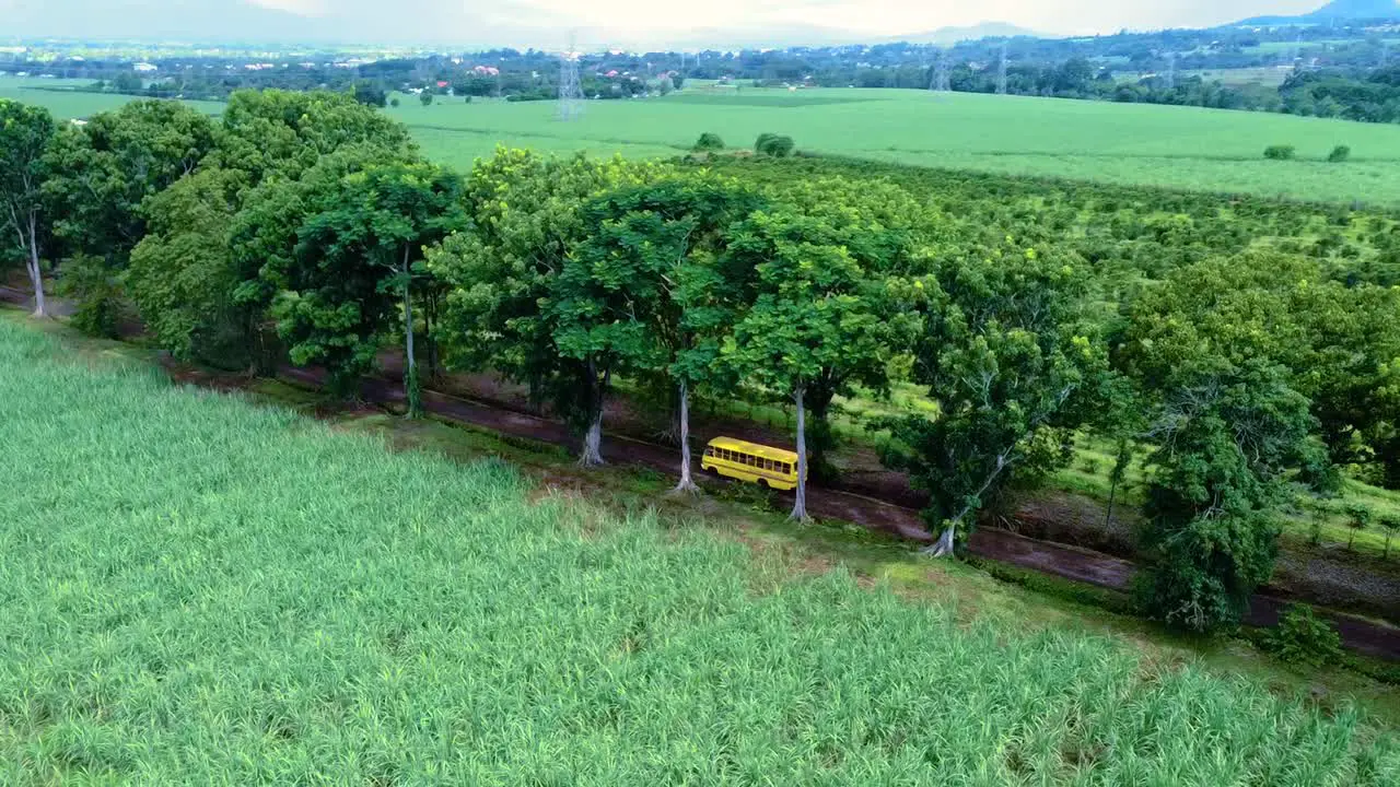 Drone shot of a school bus