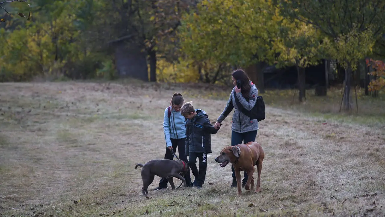 Mother with two kids and two dogs on stroll in autumn orchard field