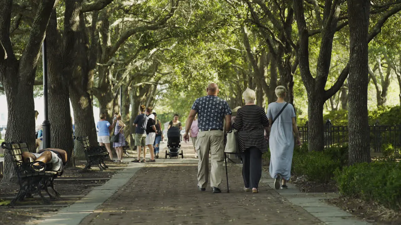 Family Walking Away From Camera in Waterfront Park