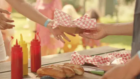 Close Up Shot of Fast Food Stand Worker Passing Hot Dog to Festival Goer